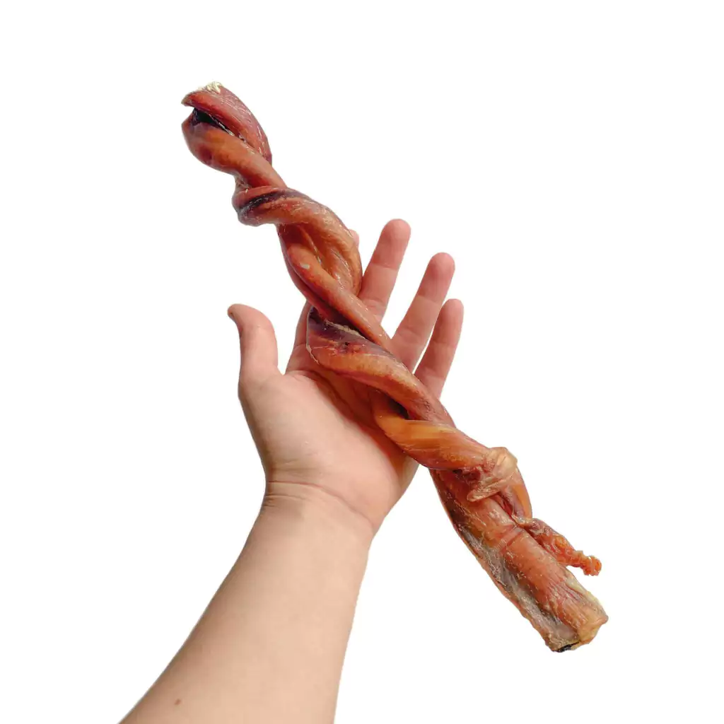 Vergalho bovino inteiro 1un - Luv Petiscos - Imagem 3