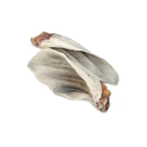 Orelha bovina inteira 2un - Luv Petiscos