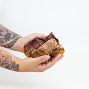 Mini traqueia 5un - Opaparico