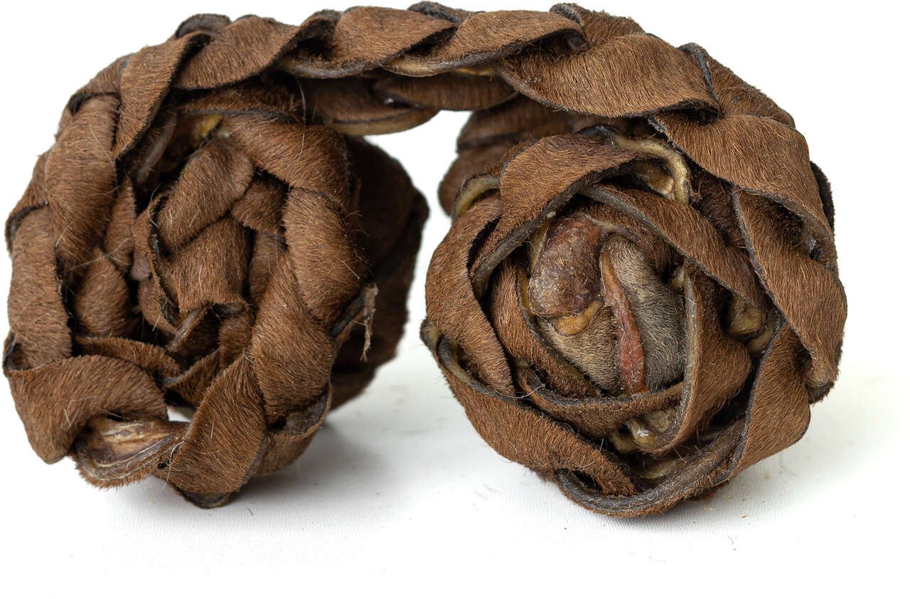 Cão Beat 1un - Opaparico