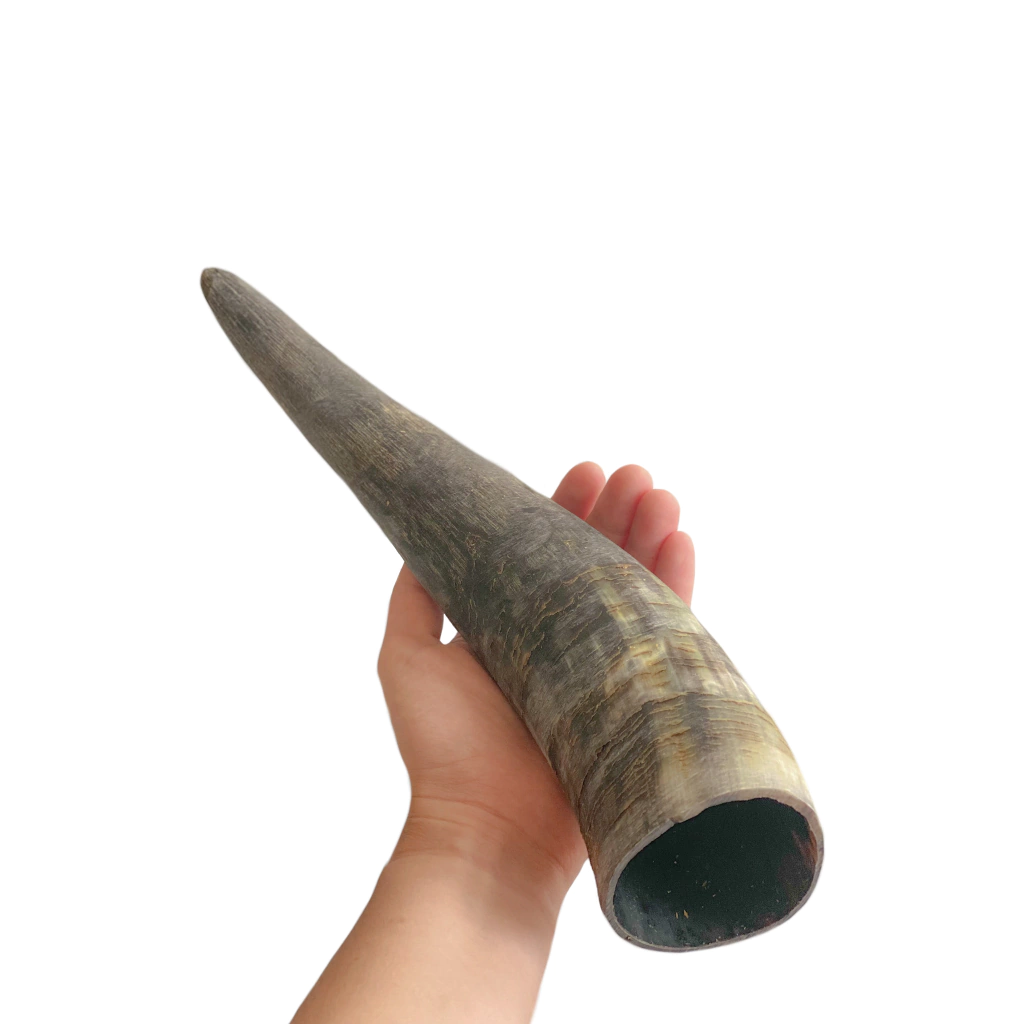 Chifre bovino G 1un - Luv Petiscos - Imagem 3