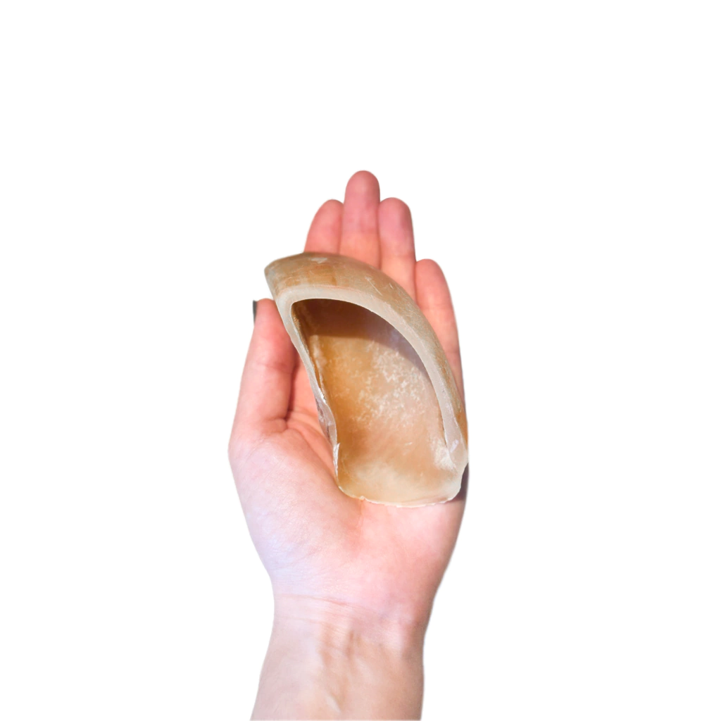 Casco bovino P 6un - Luv Petiscos - Imagem 3