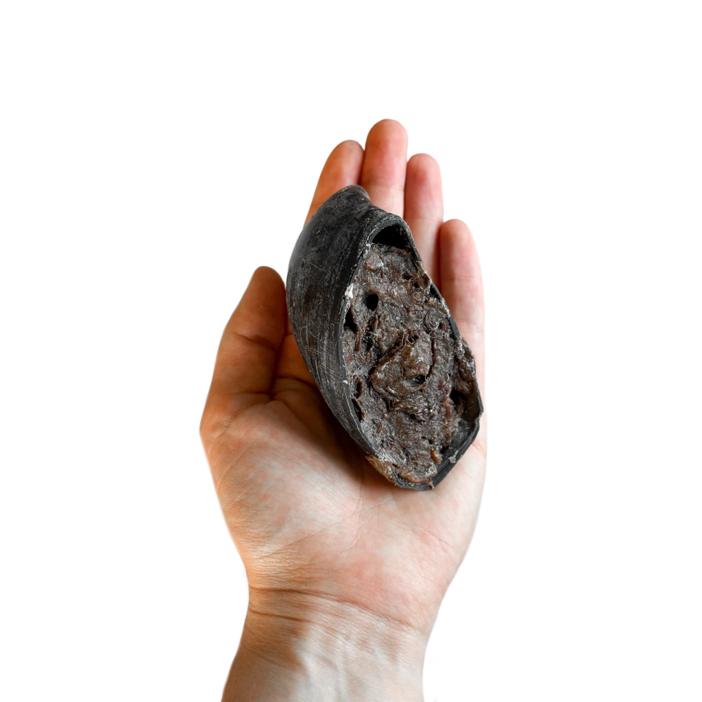 Casco recheado bovino 2un - Luv Petiscos - Imagem 3