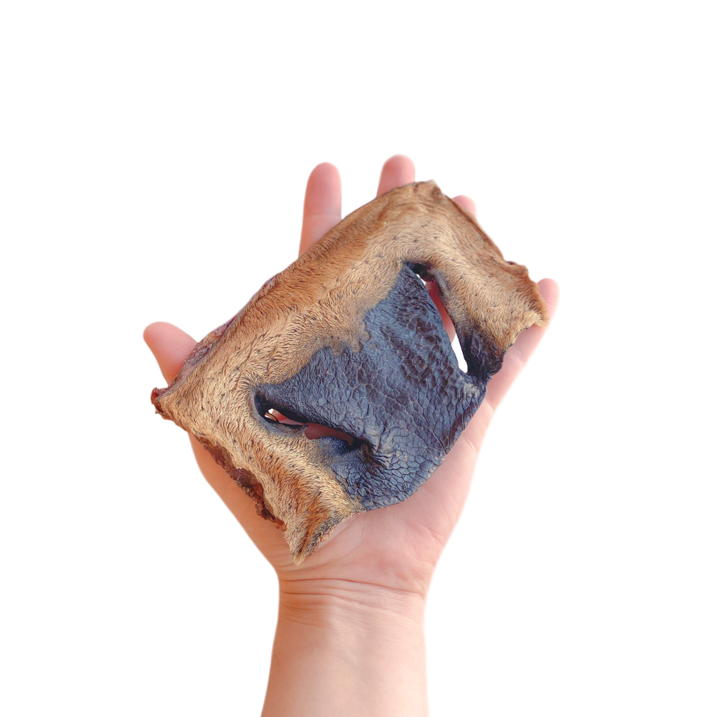 Focinho de bovino 2un - Luv Petiscos - Imagem 3