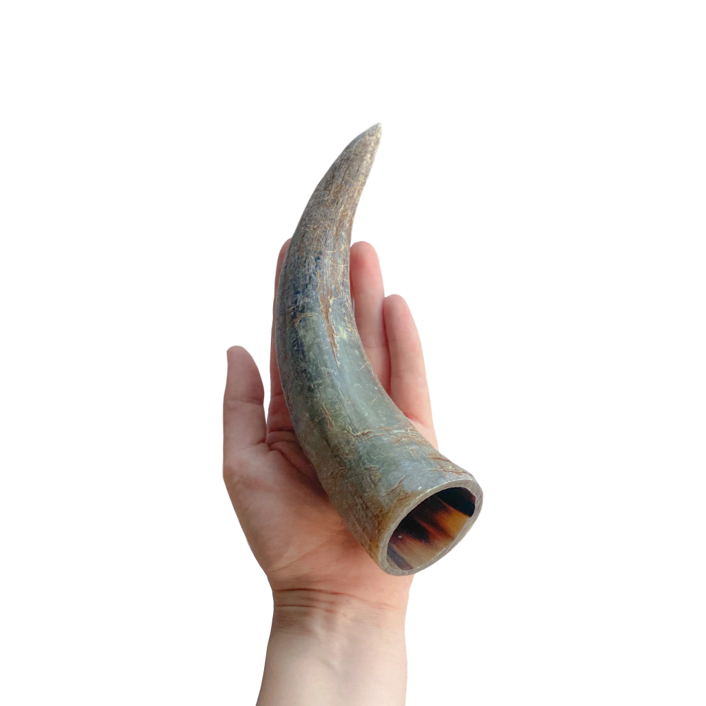 Chifre bovino P 1un - Luv Petiscos - Imagem 3