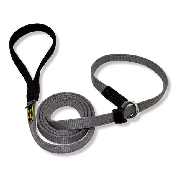 Guia unificada 180cm Cinza - Amorosso - Imagem 2