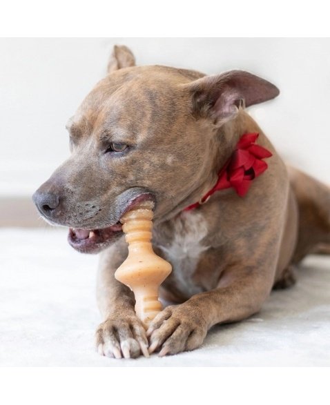 Zaggler bacon XG - Benebone - Imagem 4